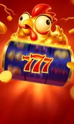 Chicken Coin