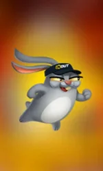 Rabbit Road